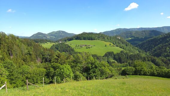 Ausblick Aufstieg vor Gehöft Mitternestelberg