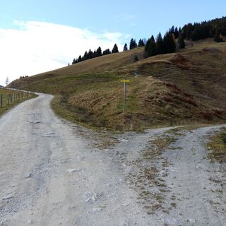 Forststraße gerade aus folgen in Richtung Moosalm (rechts - Klausalm)