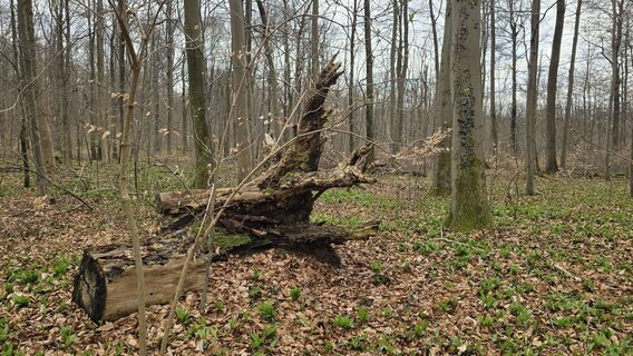 Foto von Katja Senkel entlang der Tour