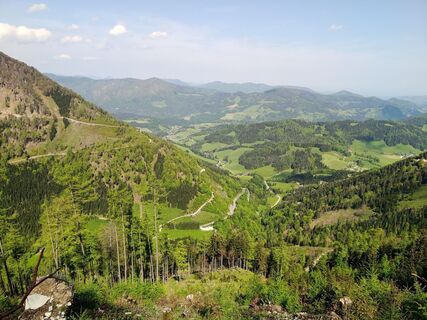 Foto von Wanderkatze entlang der Tour