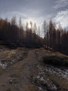 Fotografie z Andrea Tarovo na trase