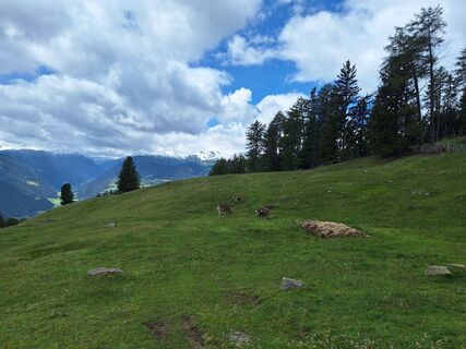 Foto von Jaap Rozeboom entlang der Tour