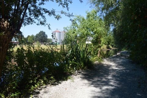 Mühle Schlothmann (NSG Rosenau) - Bad Sassendorf
