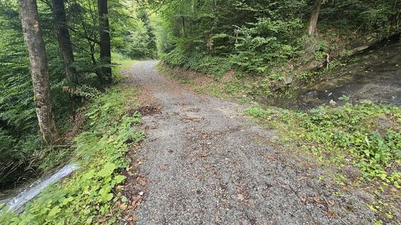 Plattabach