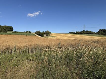 Photo de Schaali le long du parcours