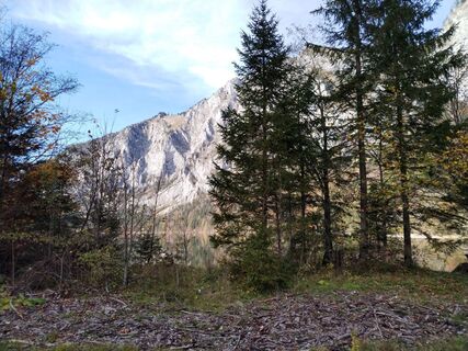 Fotografia z Johann Trischak na trase