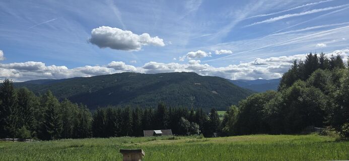 Fotografija s spletne strani CelIna._.q na poti