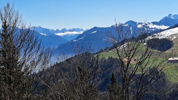 Fotografie de la Otto Wernli de-a lungul turului