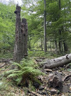 Photo de Bigjohn71 le long du parcours