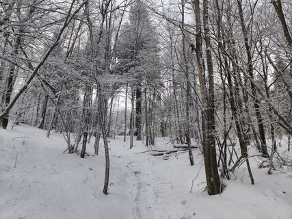 Fotografija s spletne strani Marko Bešter na poti