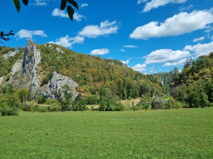 Photo de jounz le long du parcours