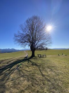 Fotografie z Sven Krieblin na trase