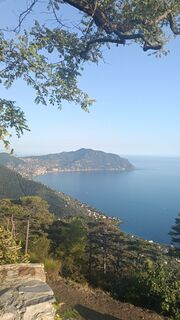 Photo de Montys le long du parcours