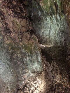 Foto de xmann2 a lo largo del recorrido