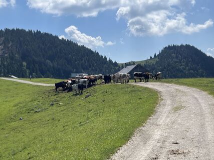 Fotografie z Stefan Rohringer na trase