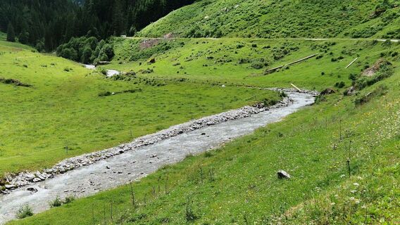 Fotografia z Gerrit van der Linde na trase