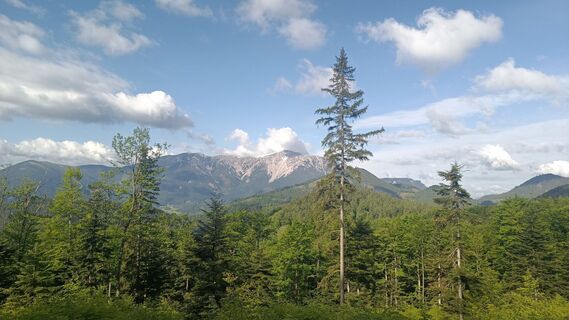 Foto fra Bergpirat underveis på turen