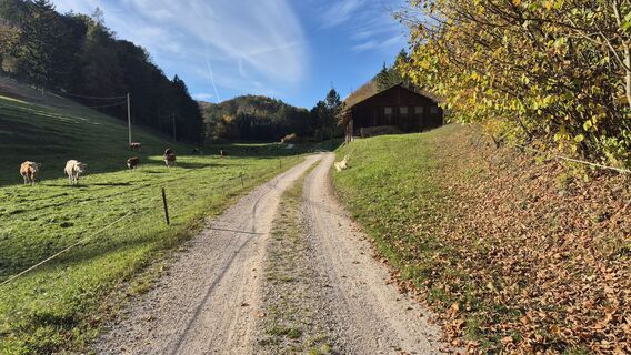 Foto von Claudia Maurer entlang der Tour