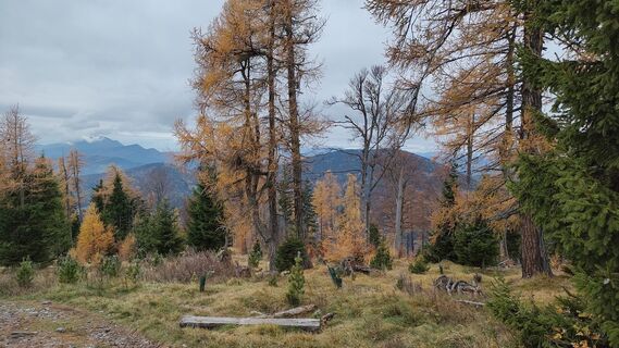 Fotografia z TommiG2 na trase