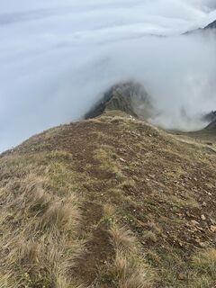 Foto von Carola Krems entlang der Tour