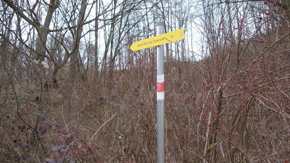 Aufstieg am Adolf-Müller-Weg