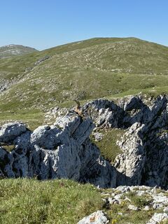 Photo de Luciano le long du parcours