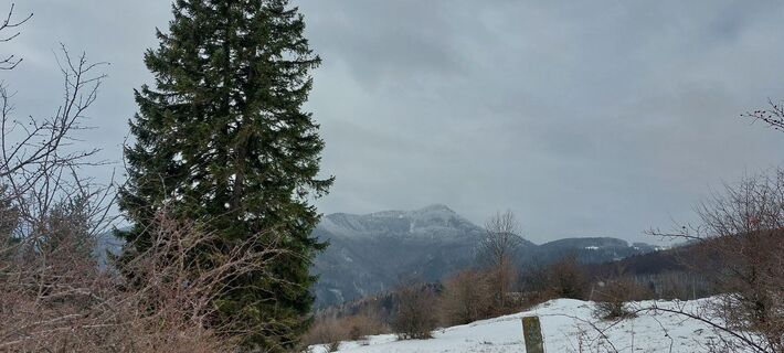 Fotografija s spletne strani Claudia Michael na poti
