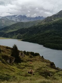 Foto von Aner entlang der Tour