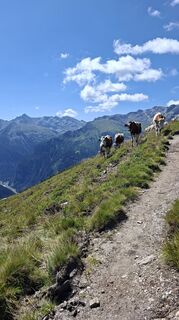 Foto von David Vogl entlang der Tour