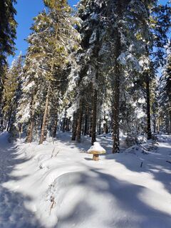Foto de v.stein a lo largo del recorrido