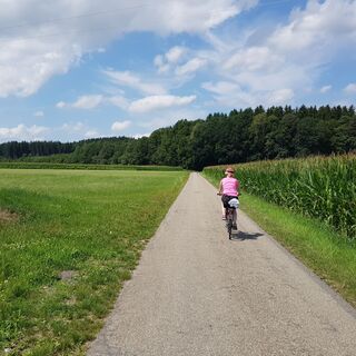 Zwischen Holzgünz und Schwaighause