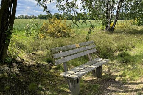 Behringer-Hügelgräberheide-Bank-Schatten-ccbysa-foto©bispingen-touristik-min.jpeg