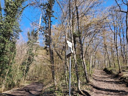 Fotografia z Billharz Wilhelm na trase