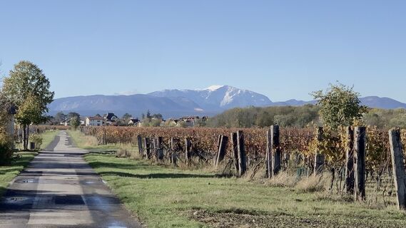 Photo de Christian Hohaus le long du parcours