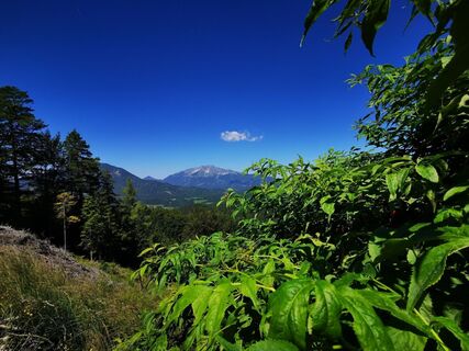 Ausblick auf den Ötscher
