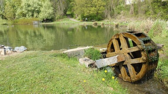 Mühlenteich Gebhardshagen