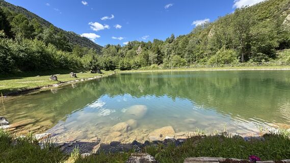 Fotografija s spletne strani Brownie85 na poti