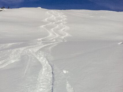 Powderabfahrt