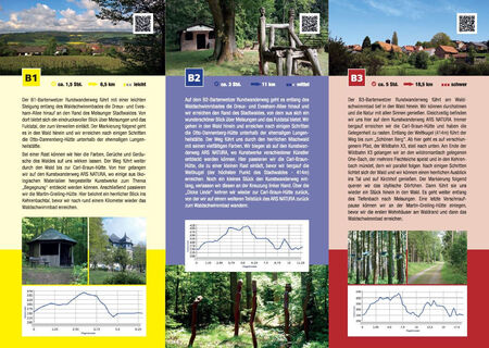 Flyer Rückseite