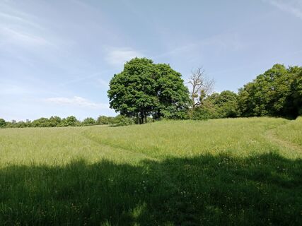 Fotografija s spletne strani Poschacher na poti