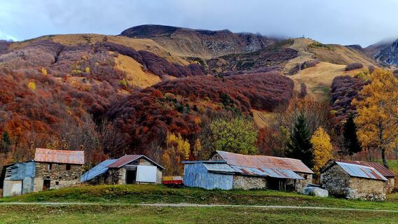 Foto de Fabrizi Mellano a lo largo del recorrido