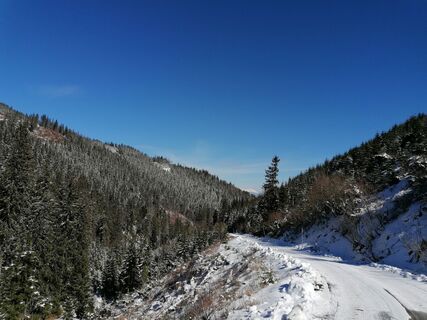 Foto de Žaneta Schelling a lo largo del recorrido