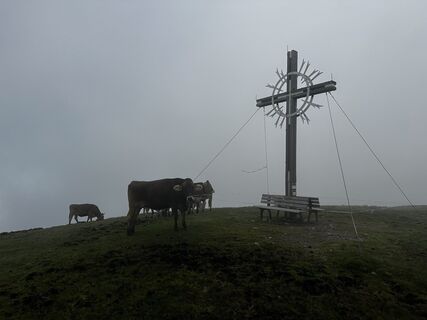 Fotografie z Paul Plattner na trase