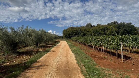 Fotografija s spletne strani Peter Labacher na poti