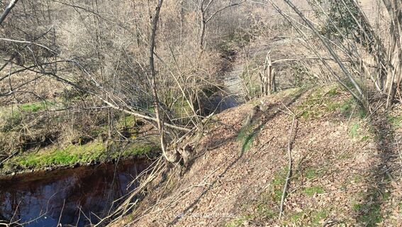 Fotografia z Gio58 na trase