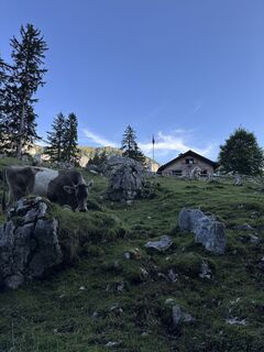 Foto von Cyrill Bischof entlang der Tour