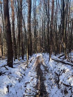 Fotografia z Katharina Kickinger na trase