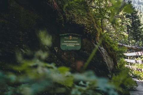 Hohe Tauern Panorama Trail Etappe 02 - Naturdenkmal Leitenkammerklamm in Krimml