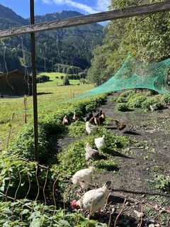 Photo de Kai Brinkmann le long du parcours