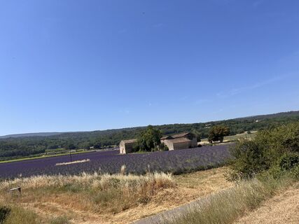 Foto de jml a lo largo del recorrido